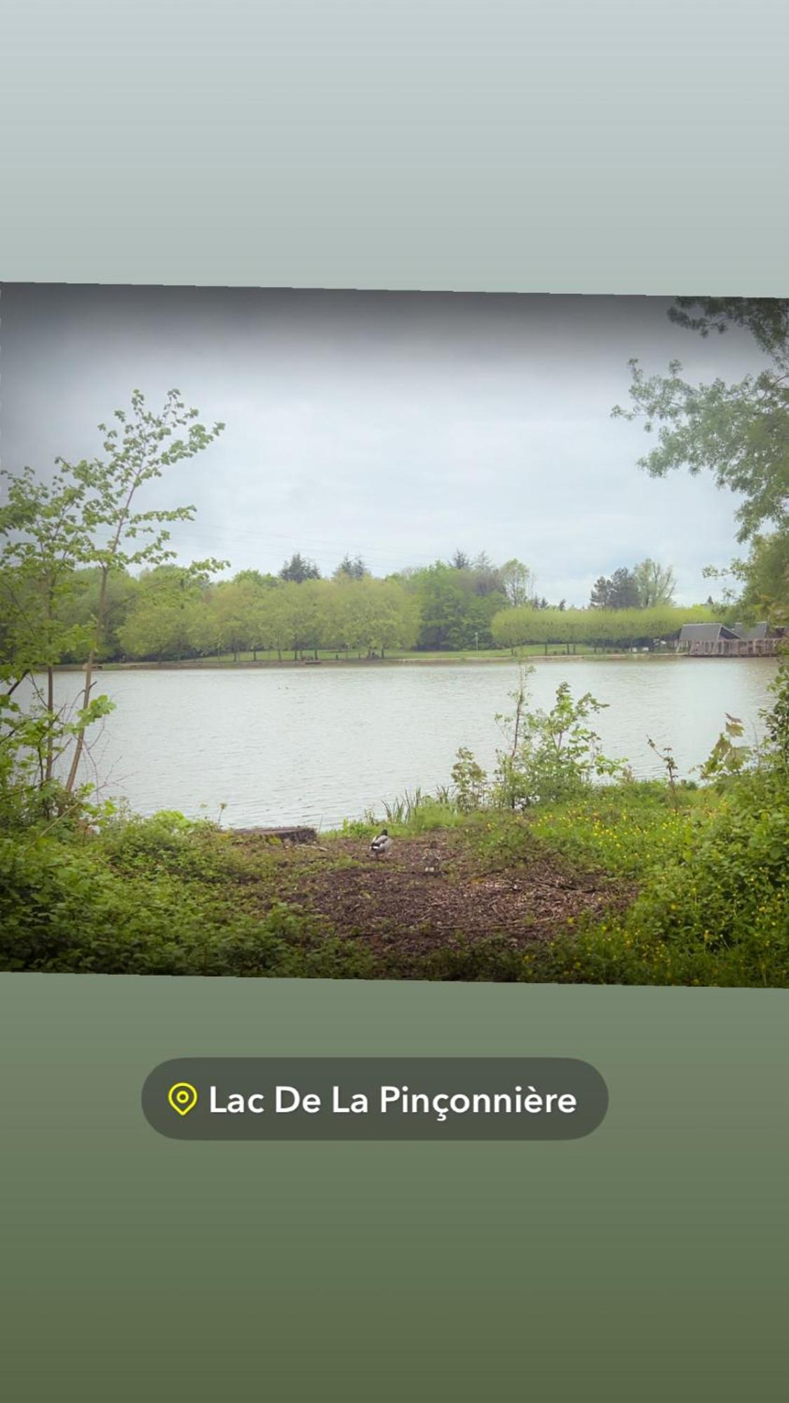 Quiniere - Entre Lac Et Foret - Hebergement Independant Avec Espace Kitchenette Blois Bagian luar foto